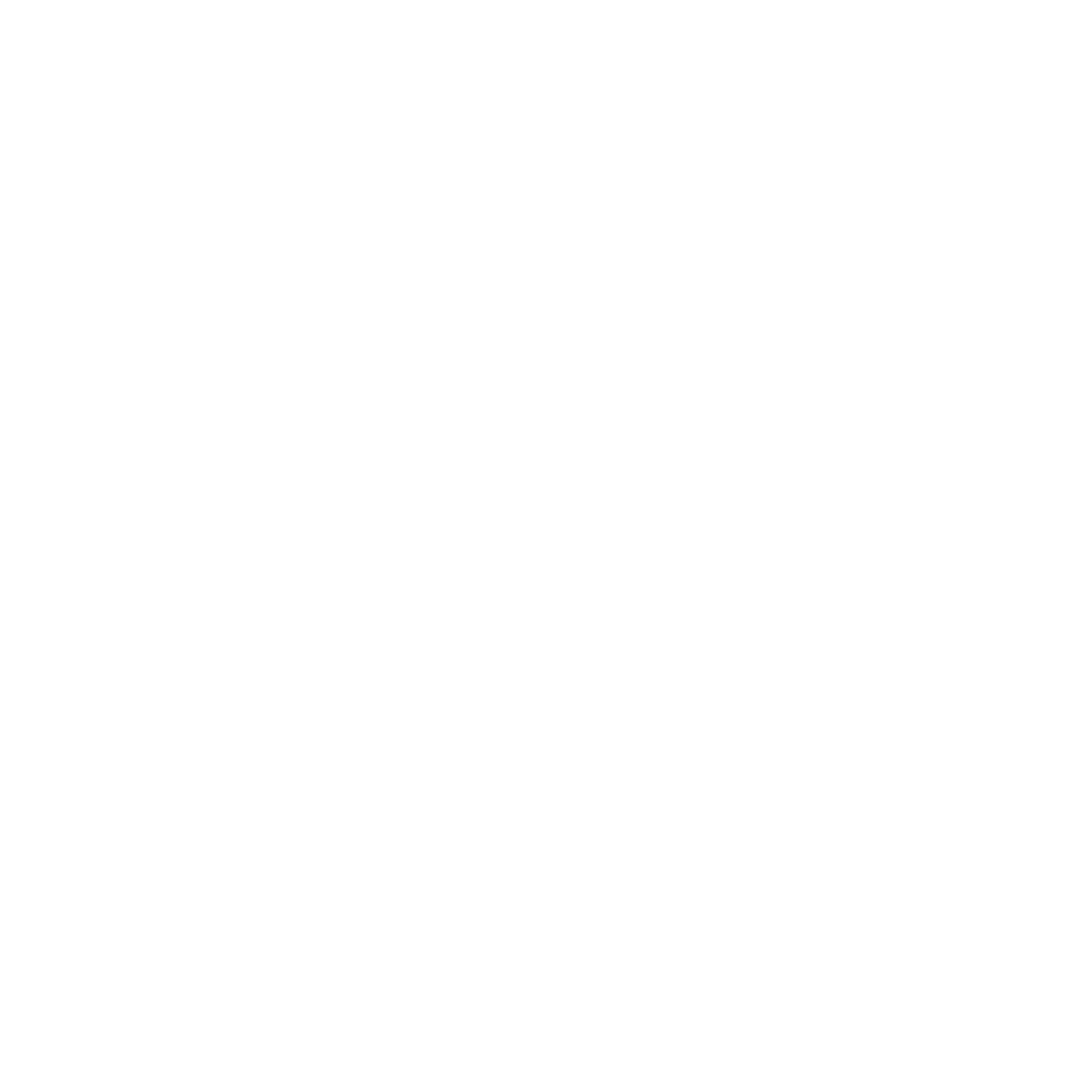 Primary Logo Dark Variation